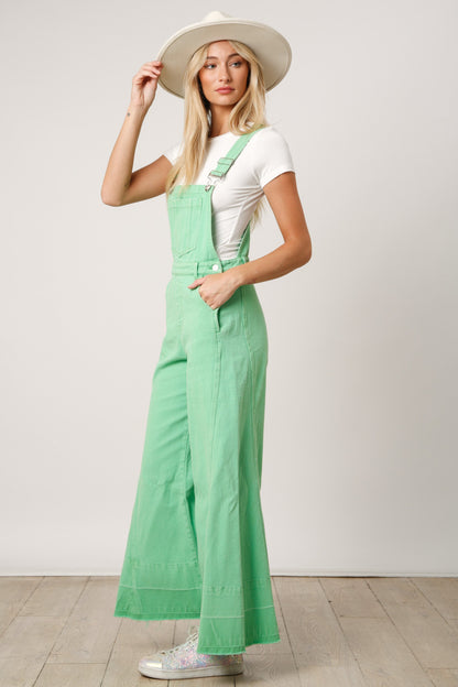 Washed Denim Overalls