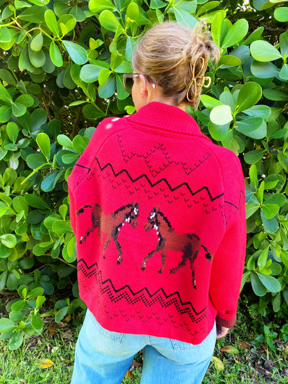 Giddyup Sweater in Red