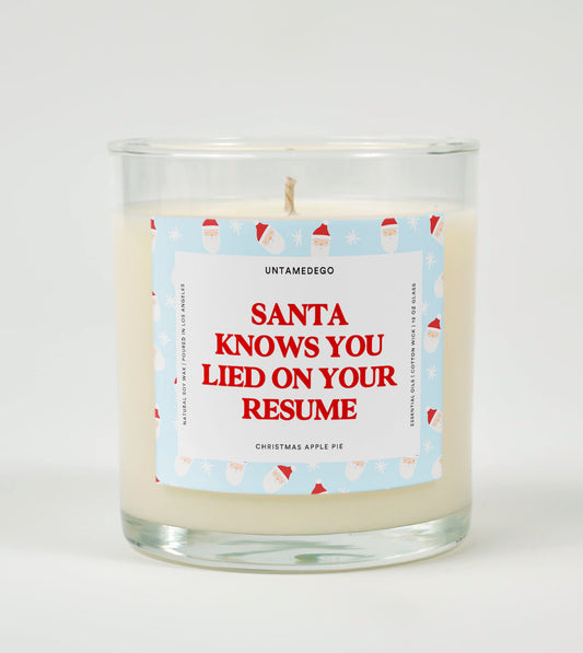 Santa Knows You Lied on Your Resume | Funny Christmas Candle