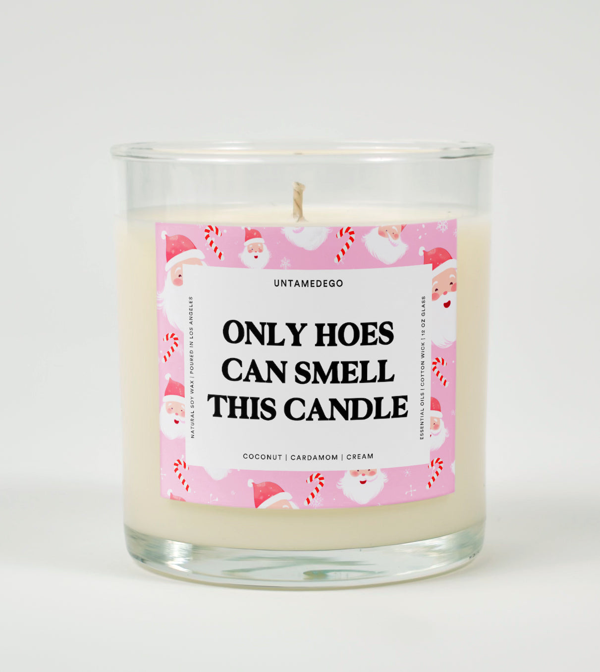 Only Hoes Can Smell This Candle | Funny Candle