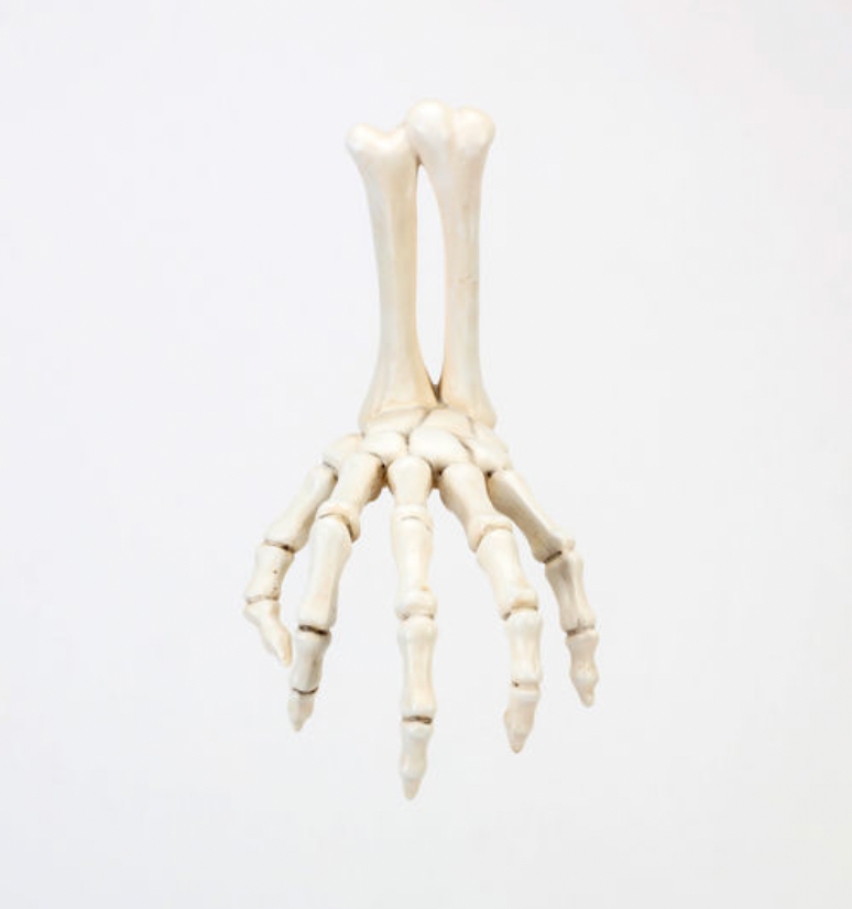 Resin Skull Hand