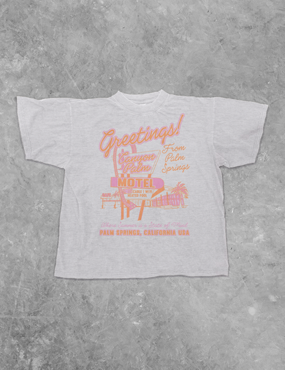 Underground Original Design: Greetings! Canyon Palms Boxy Cotton TShirt